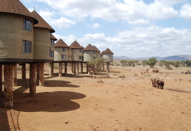2 Days Tsavo West National Park_4