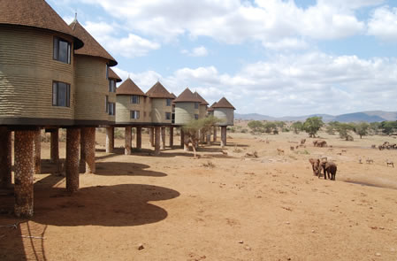 2 days East_saltlick