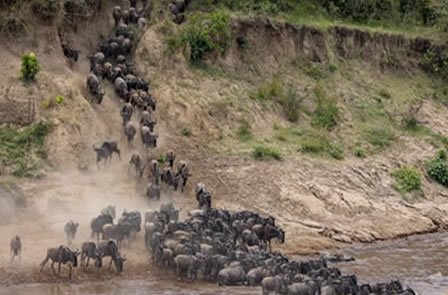 3 days maasai mara