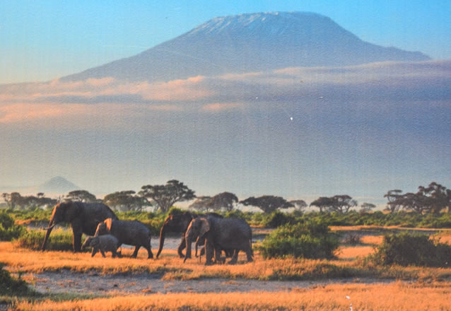 3 days tsavo days tsavo east west n park_4
