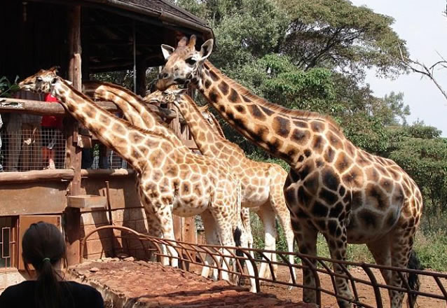 Nairobi_2
