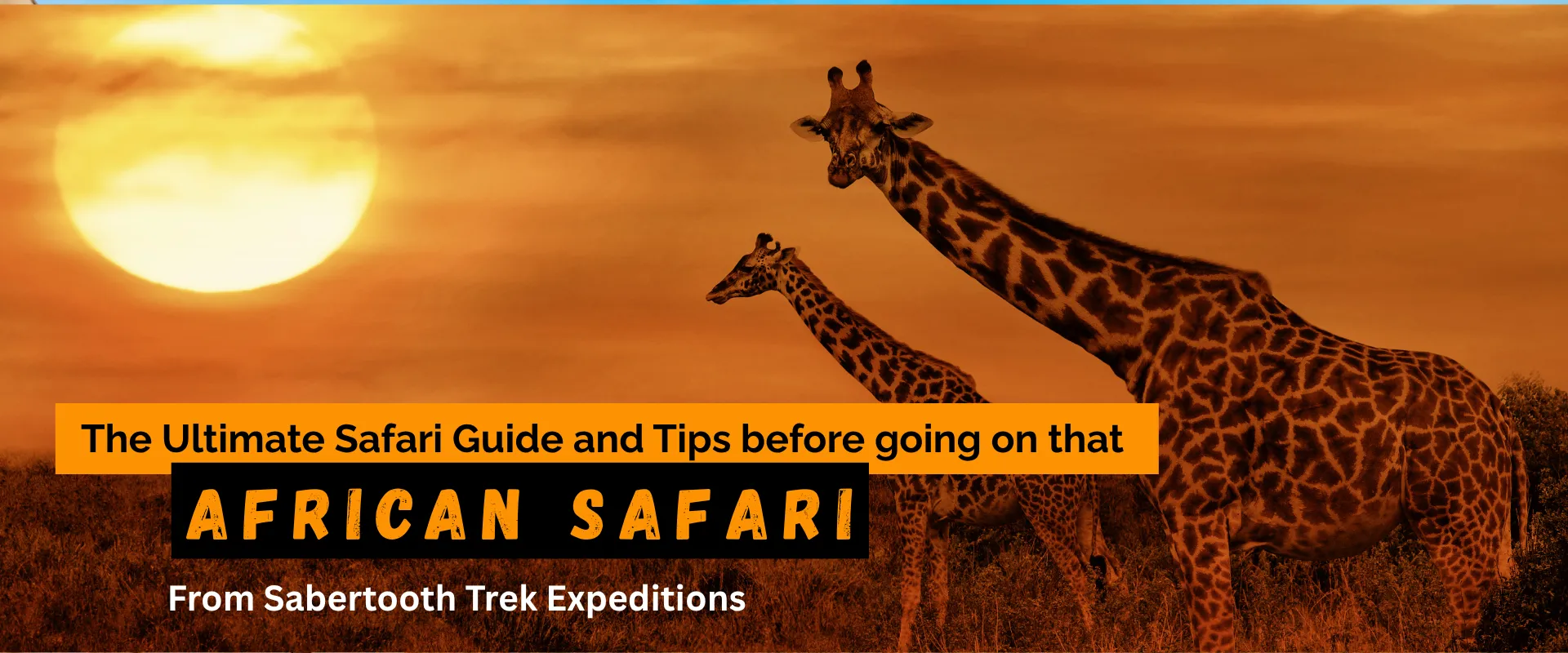 The Only Safari Guide You Need: Tips, Visas, and Health Protocols Before Going On A Safari