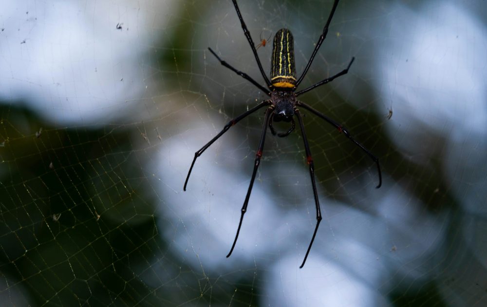 2h-media-3WYGiTYSzjs-unsplash