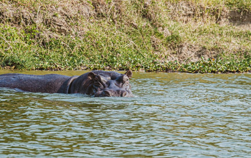 2h-media-Dc9KM95JRbE-unsplash