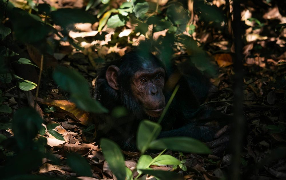 2h-media-ILgSoyFV6vk-unsplash