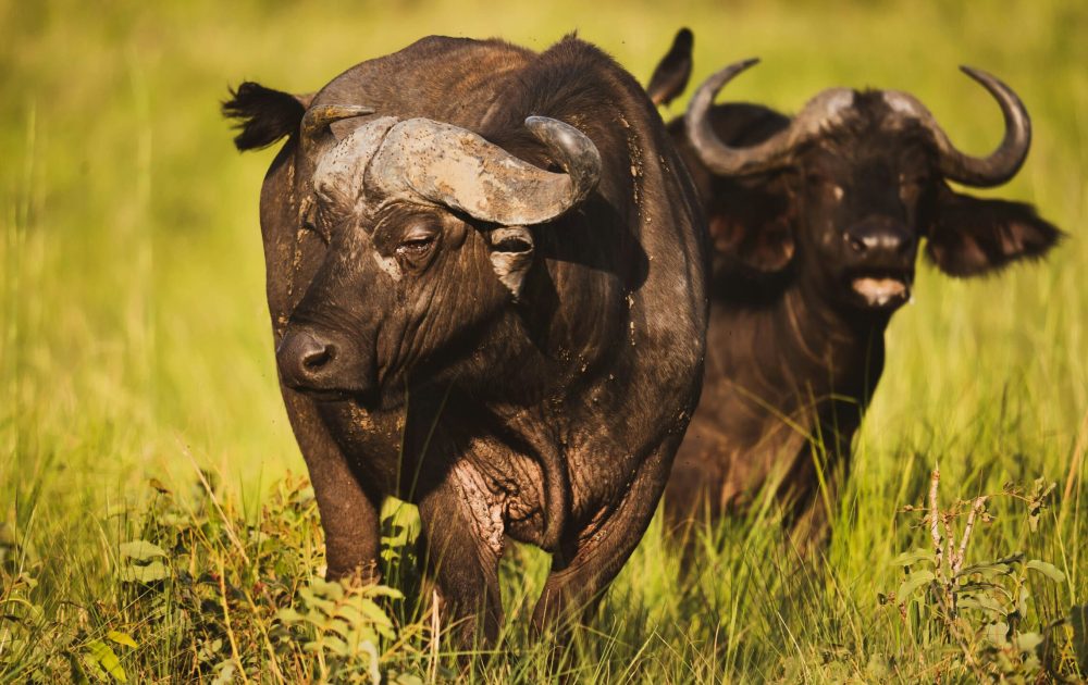 2h-media-KgEk682CM-k-unsplash