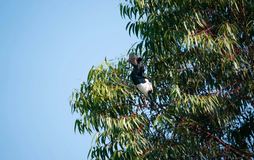 2h-media-N8TyhiyKSdY-unsplash