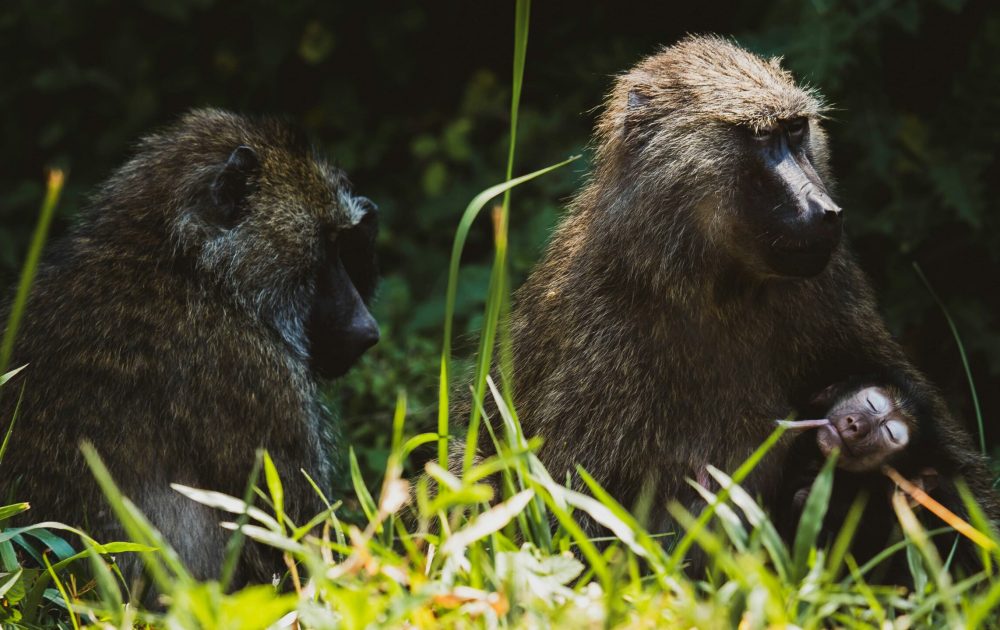 2h-media-iMOOuRaTG00-unsplash