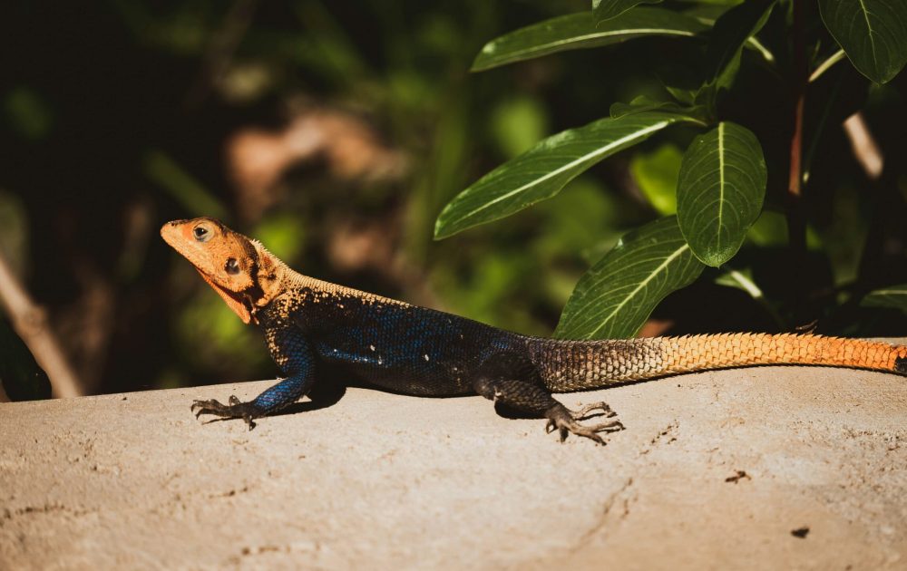 2h-media-lYiIG3jdqMY-unsplash