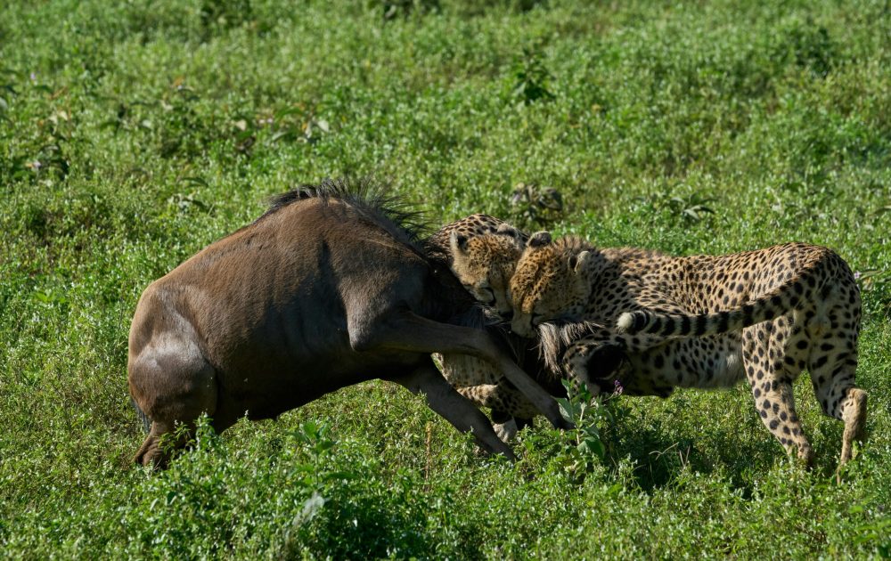 dmitrii-zhodzishskii-9B4csGUnMlg-unsplash