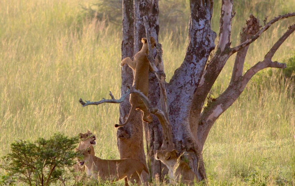 gabriel-schumacher-NM8zTS9XdaY-unsplash