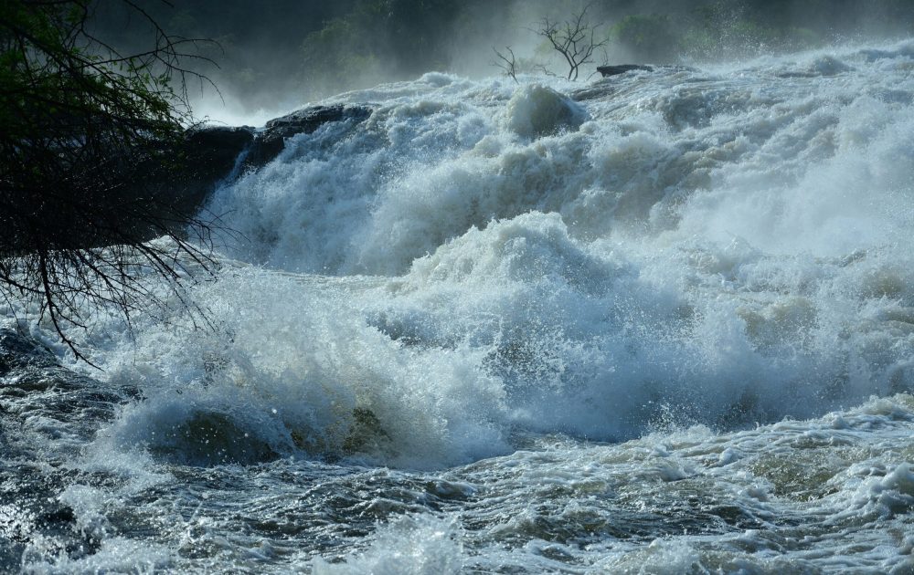 ivan-sabayuki-8WZRp0H75ao-unsplash