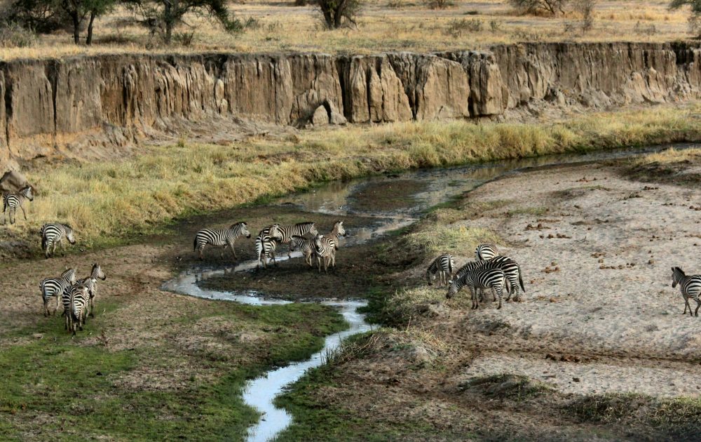 joel-herzog-2_5IXdiwmyM-unsplash