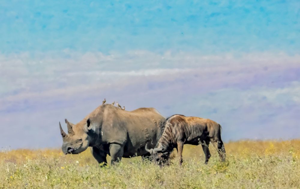 mana5280-Y9xN23aHafg-unsplash