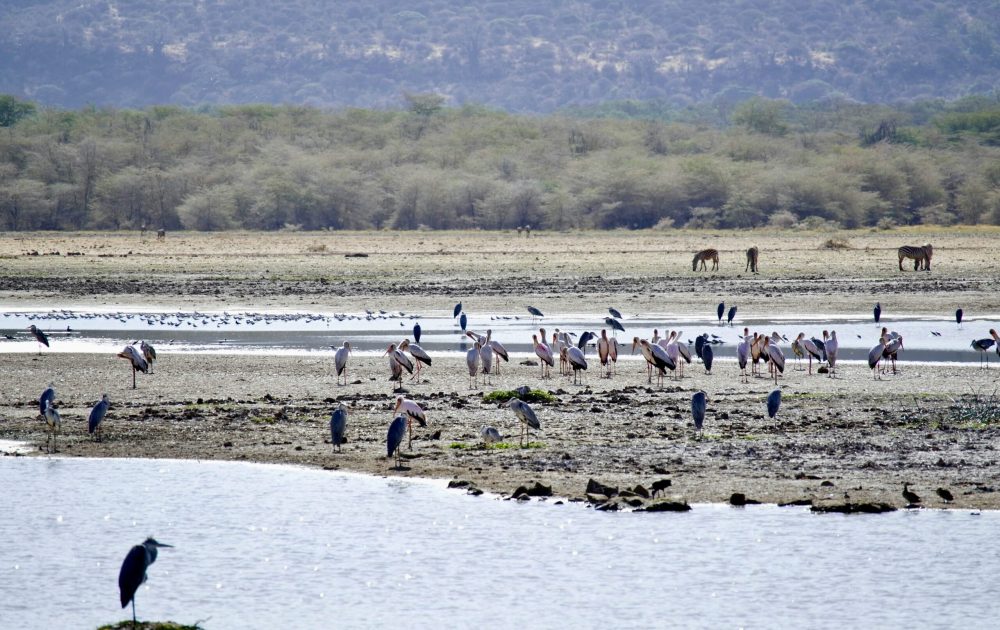 ray-rui-rO9pJI7IuIw-unsplash