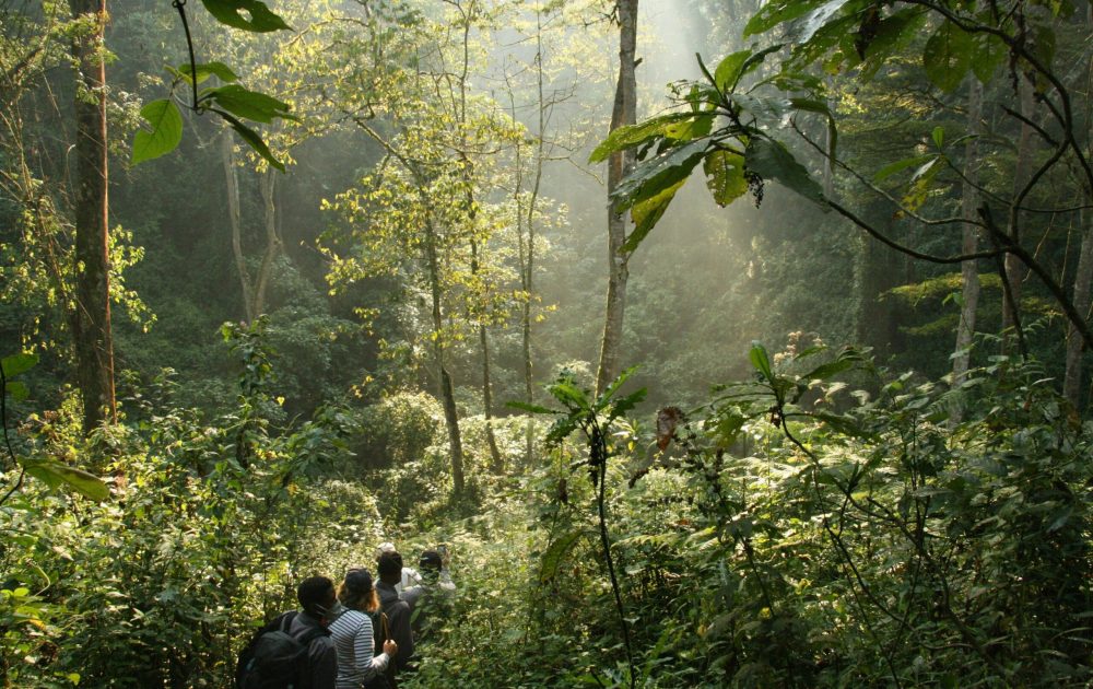 william-pietermans-5SujvqCTuJc-unsplash